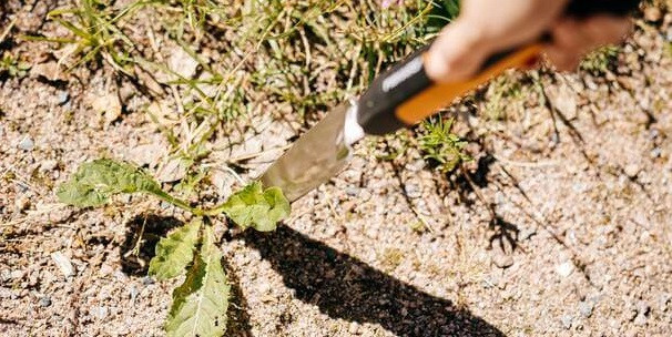 Інструмент для видалення бур'янів fiskars