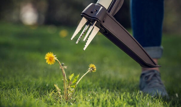 Корневидаляч Фіскарс купити