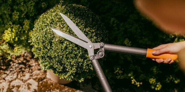 Ножницы для стрижки кустов Фискарс