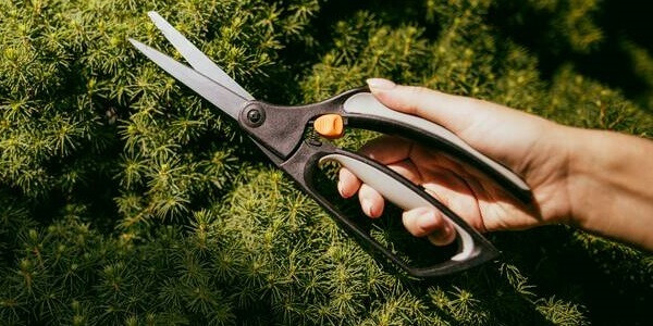Ножницы садовые для стрижки кустов купить