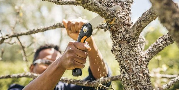 Пила для обрізання гілок за низькою ціною в магазині Fiskars-discount