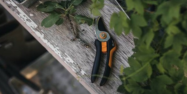 Секатор флористический купить по низкой цене в Украине