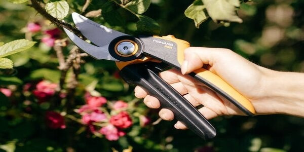 Секатор для роз купить с доставкой по Украине