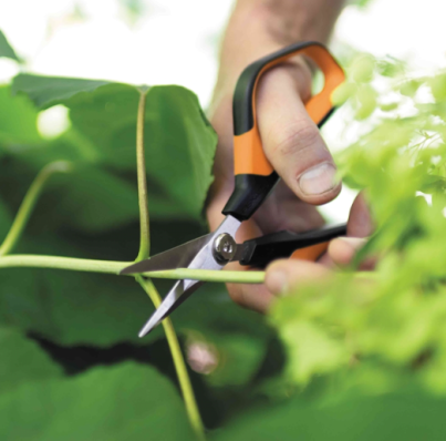 Ножницы для растений и цветов Fiskars Solid™ Softgrip SP15 1051602, фото 7