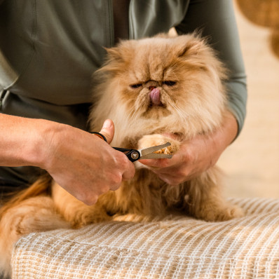 Ножницы для груминга деликатных зон Fiskars Pet Care (2009124), фото 3