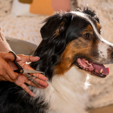 Ножиці для стрижки та фінішного грумінгу Fiskars Pet Care (2009126), фото 2